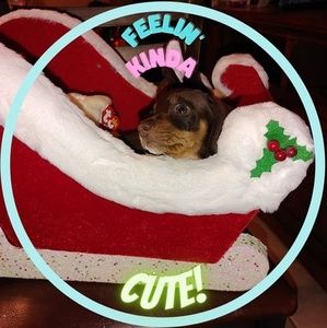 Meet your Posher, Nikki